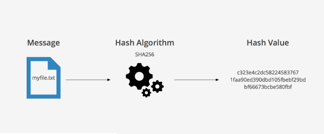 example output of sha256 hashing algorithim